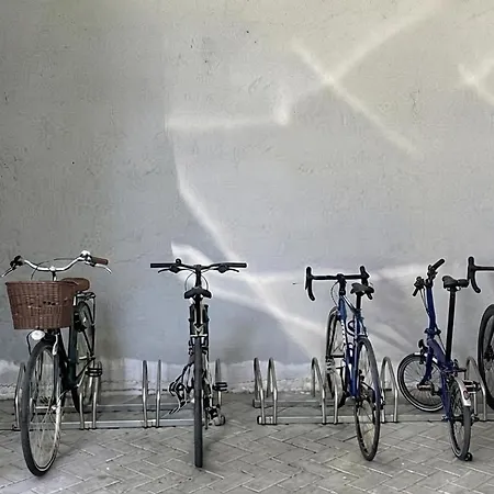 Iris 2 Di * Dongo